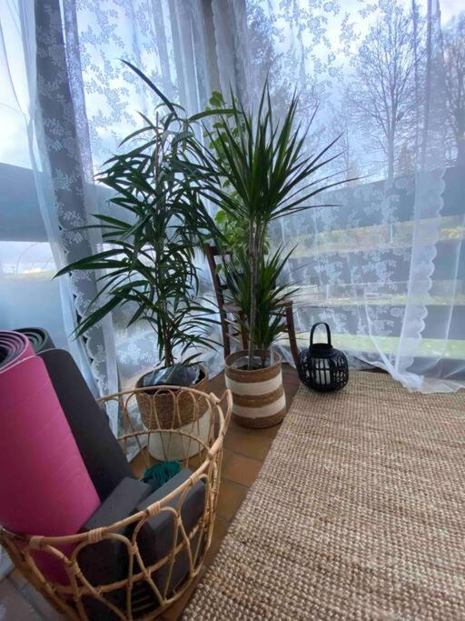 Le Faucon Du Donon Appartement