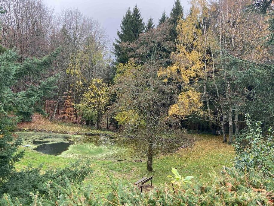 Appartement Le Faucon Du Donon Grandfontaine (Bas-Rhin)